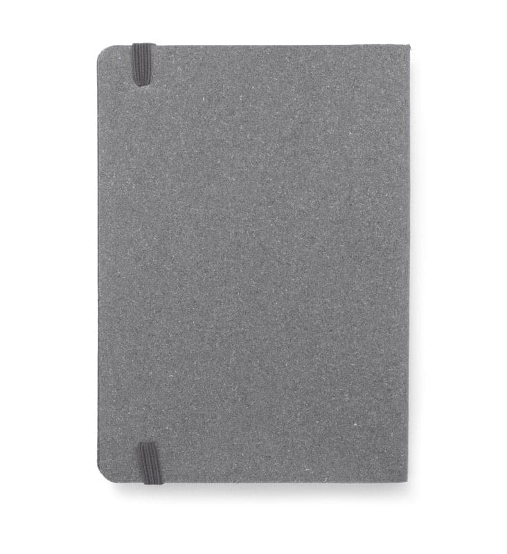 NOTES REUZI B6