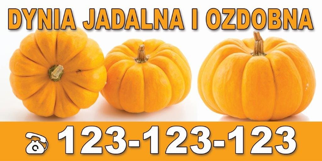 Baner Reklamowy 2 x 1 m -Sprzedaż Dyni - Baner Premium - Mocny !