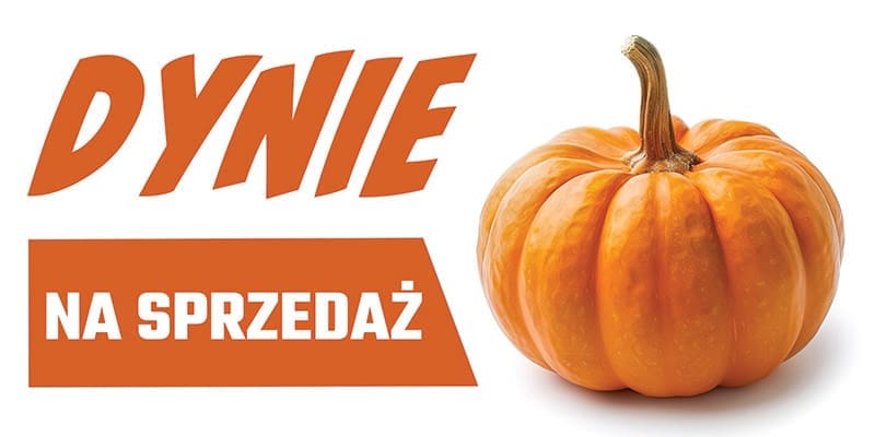 BANER REKLAMOWY - SPRZEDAŻ DYNI - 200x100 cm - SUPER JAKOŚĆ - WZ1