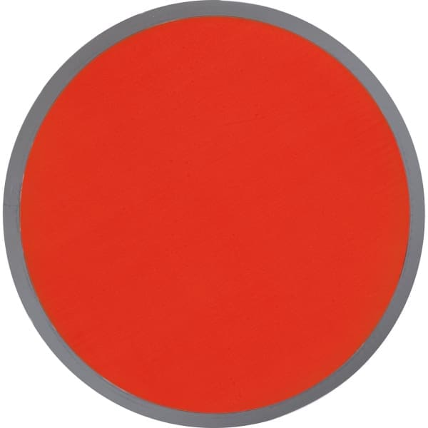 Gra frisbee