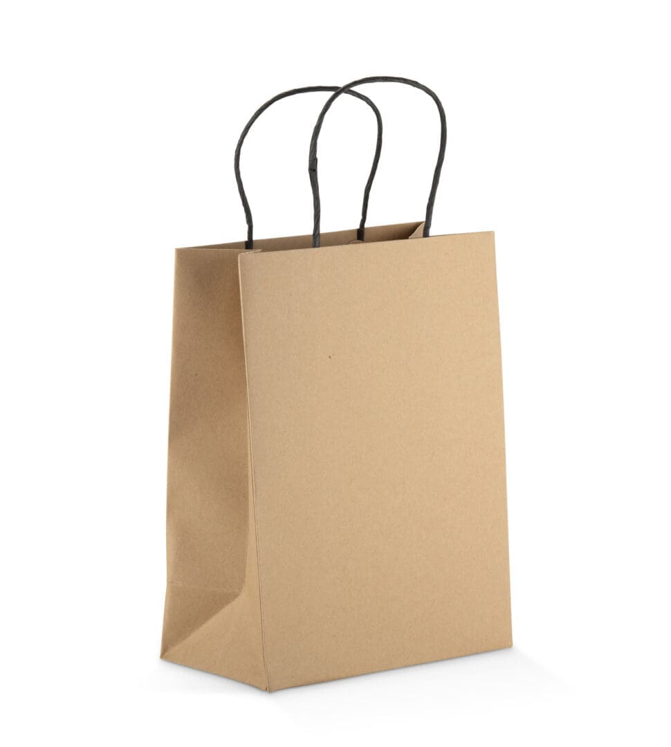 Torba papierowa PAKLO średnia