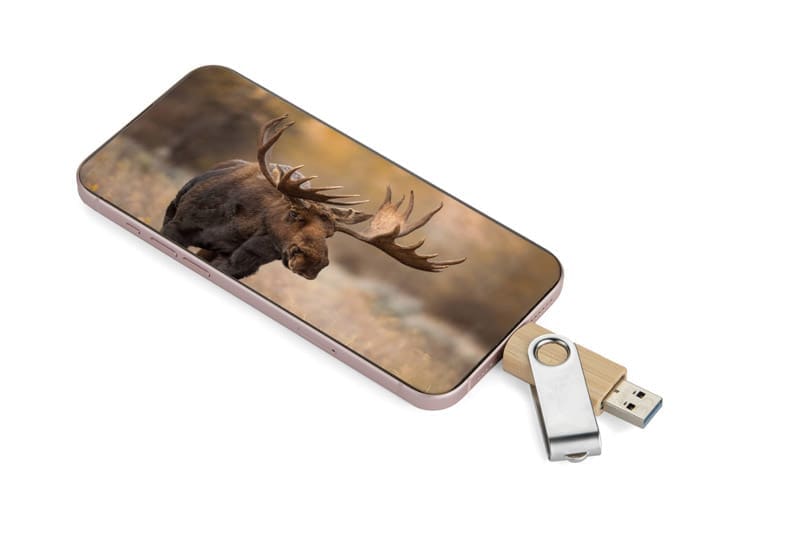 Pamięć USB TWISTER-PRO 32 GB 3.0 OTG
