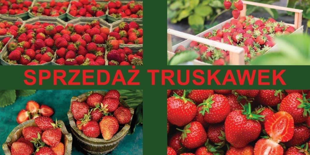 Baner Reklamowy 2 x 1 m - Sprzedaż Warzyw - Baner Premium - Mocny !
