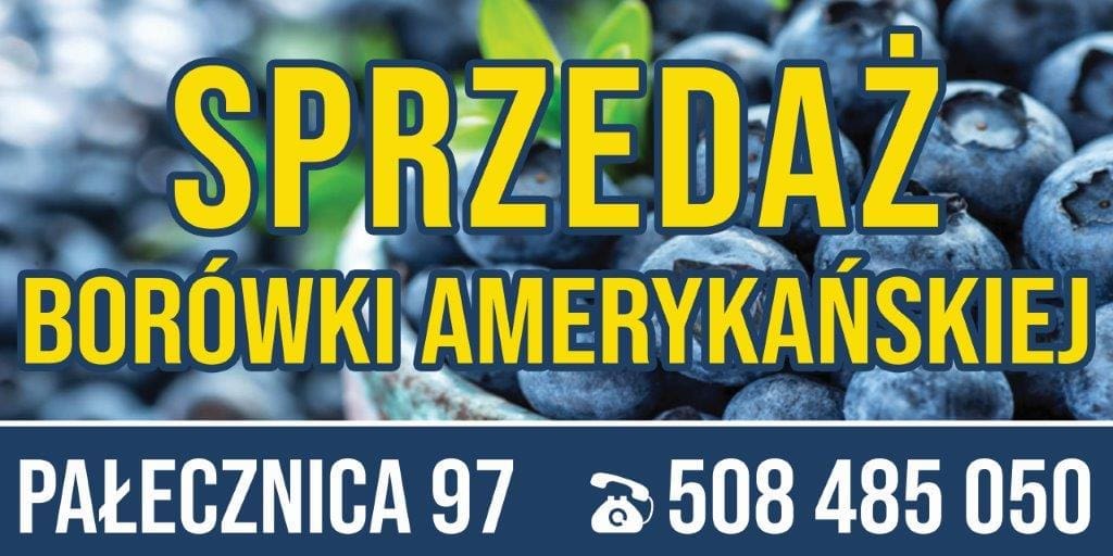 Baner Reklamowy 2 x 1 m -Sprzedaż Borówki- Baner Premium - Mocny !