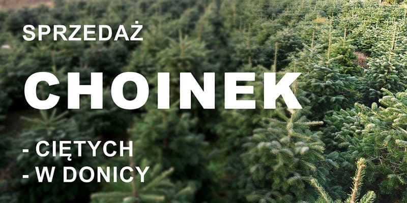 BANER REKLAMOWY - SPRZEDAŻ CHOINEK - 200X100 CM - SUPER JAKOŚĆ - WZ2